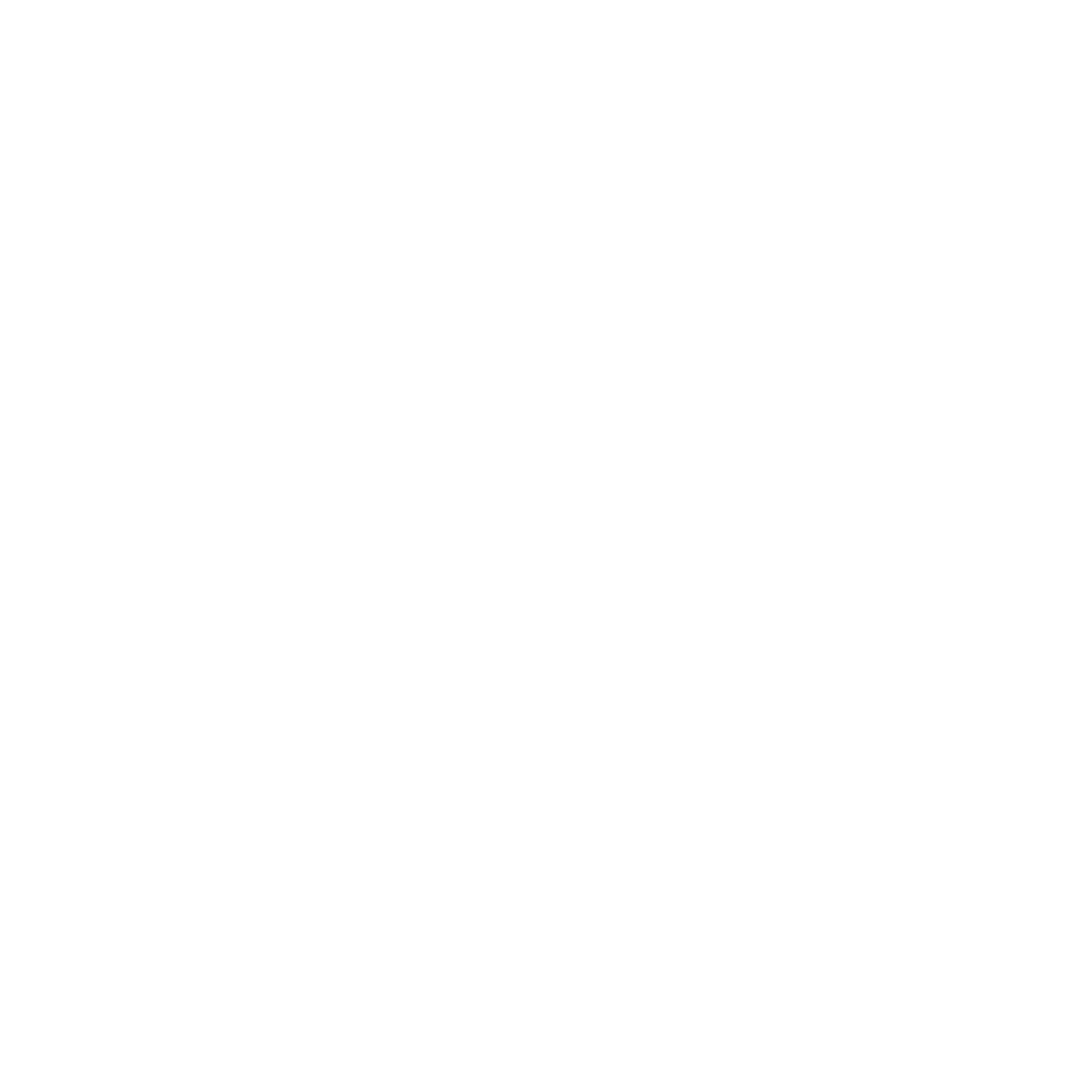 White Squirrel Concepts